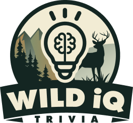 WILD iQ Logo